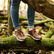 Georgia Boot Eagle Trail Women's Waterproof Oxford Hiker, , large